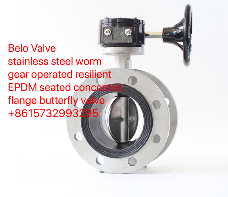 stainless steel worm gear operated EPDM lined flange butterfly valve-Belo Valve