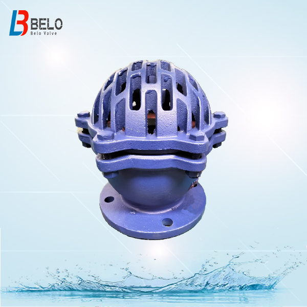 DN100 PN2.5 Ductile cast iron foot valve-Belo Valve