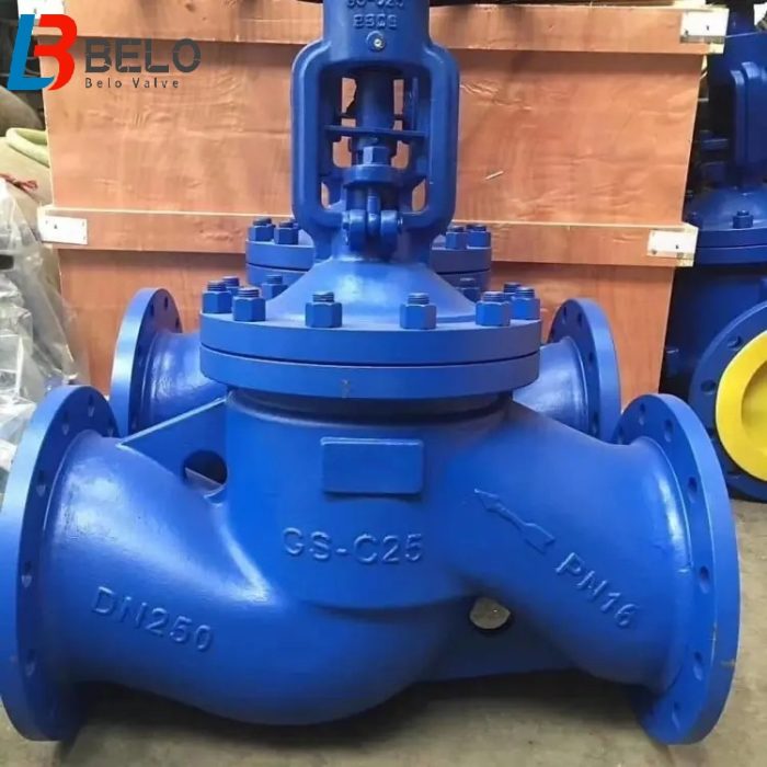 DN250-PN16 DIN3356 cast steel bellows globe valve-Belo Valve