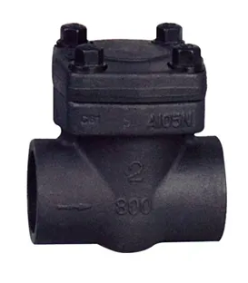 How forge steel check valve looks like