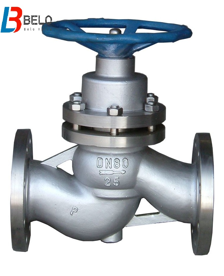 How plunger type globe valve looks like