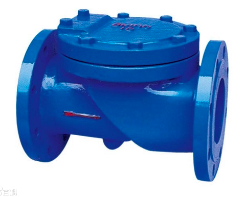 how Rubber disc check valve looks like