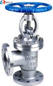 How angle globe valve looks like