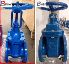 rising stem/non rising stem gate valve-Belo Valve