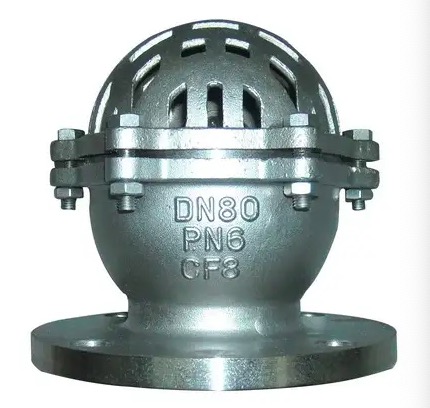 How Stainless steel foot valve looks like-Belo Valve