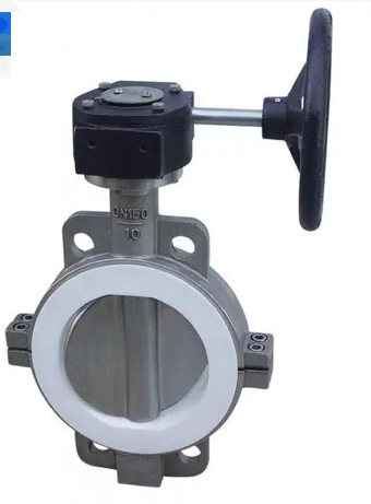 How stainless steel PTFE lined wafer butterfly valve looks like