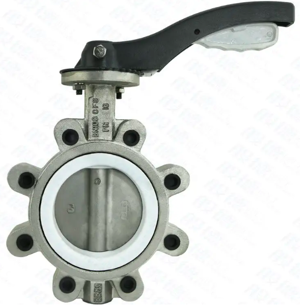 How DN100 PN16 ss manual wafer lug type butterfly valve looks like-Belo Valve