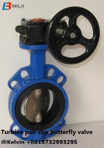 How hard back seat worm gear operated butterfly valve looks like-Belo Valve