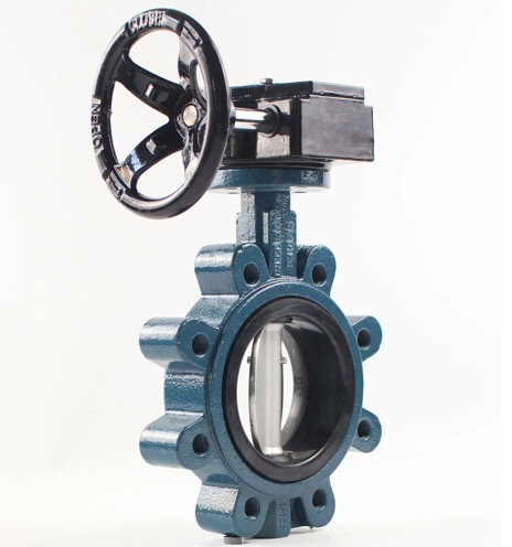 how wafer lug type butterfly valve with worm gear box looks like-Belo Valve