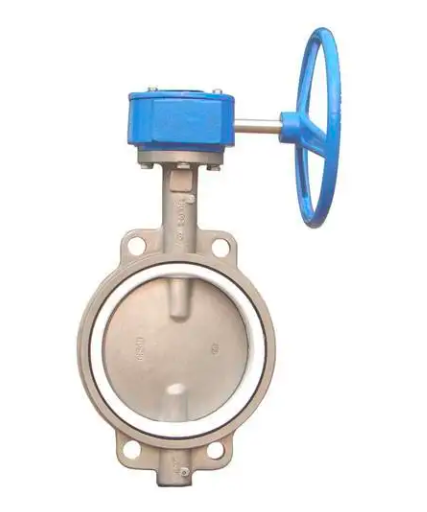 stainless steel worm gear operated PTFE lined butterfly valve-Belo Valve