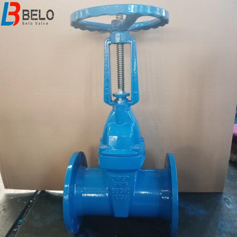 DIN F5 resilient seated rising stem flanged gate valve, ductile iron body, EPDM lined