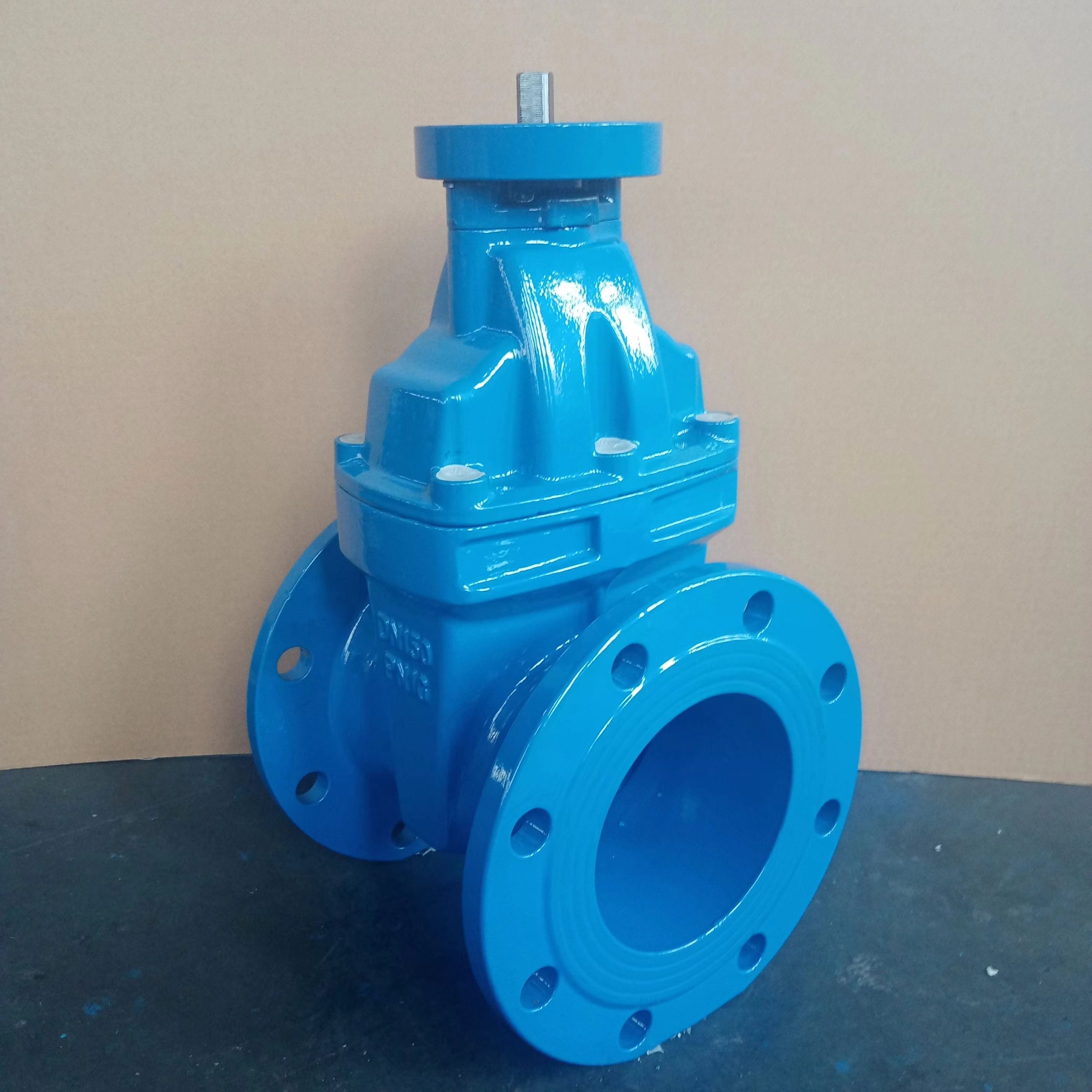ductile iron resilient seated gate valve