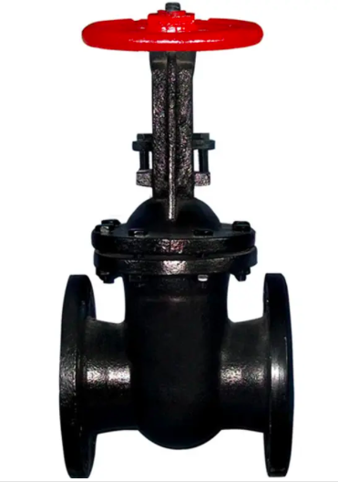 handwheel operated gray cast iron rising stem gate valve-Belo Valve
