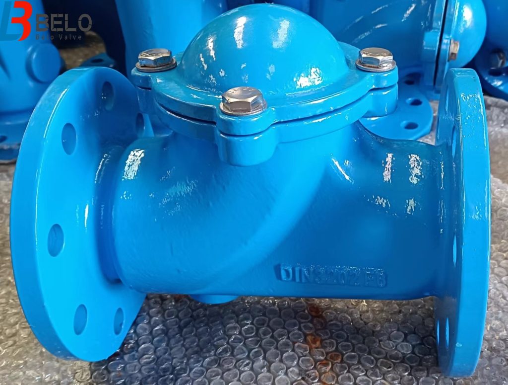 DIN ductile cast iron rubber ball check valve-Belo Valve