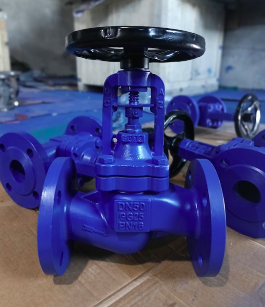 Cast iron/ductile iron DIN bellows sealing globe valve OEM supplier