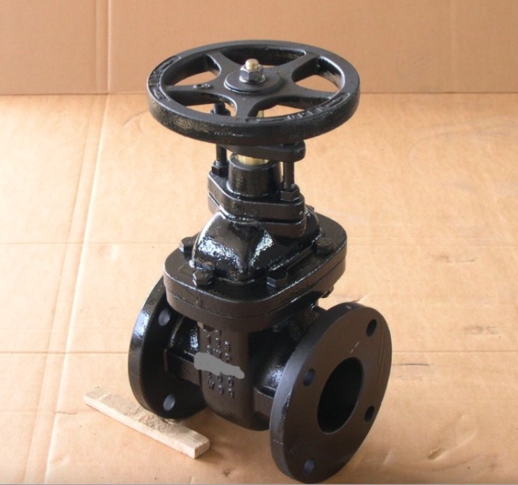 ANSI cast iron metal seated hard sealing non rising stem flange gate valve-Belo Valve