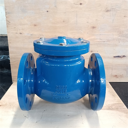 Ductile iron DIN resilient seated swing non return valve/check valve PN16