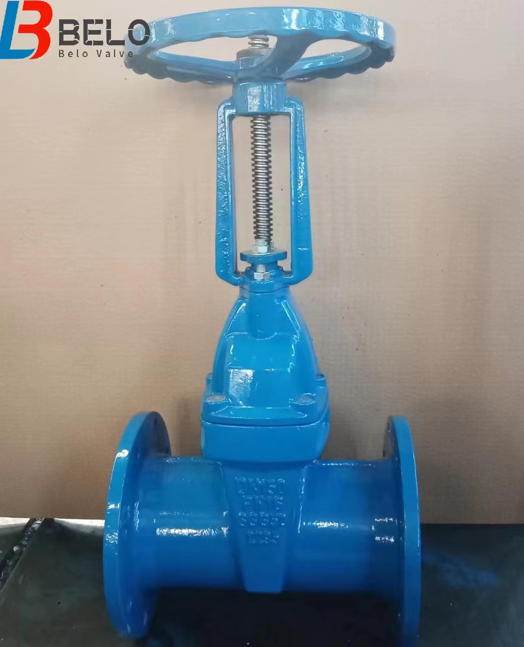 Ductile Iron Din F Resilient Seated Flanged Gate Valve Dn Dn Belo Valve